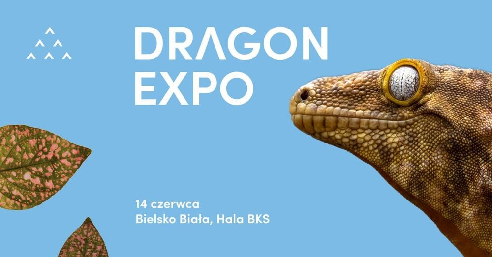 Dragon Expo 2026 – Targi Terrarystyczne i Botaniczne w Bielsku-Białej