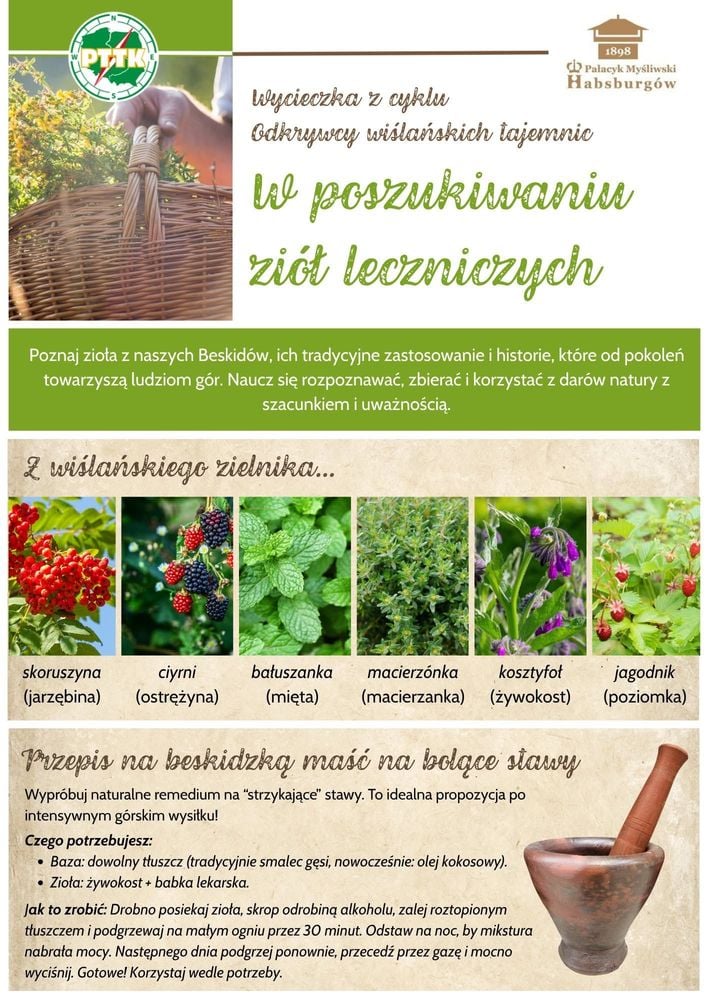 Ziołowy spacer po Beskidach z przewodnikiem w Wiśle
