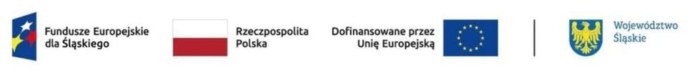 XXIII Bieg Lipowca w Czechowicach-Dziedzicach