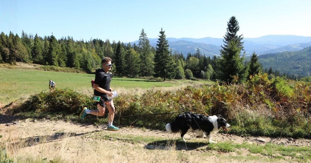 Puchar Polski w Dogtrekkingu 2026 w Brennej – start 9 maja