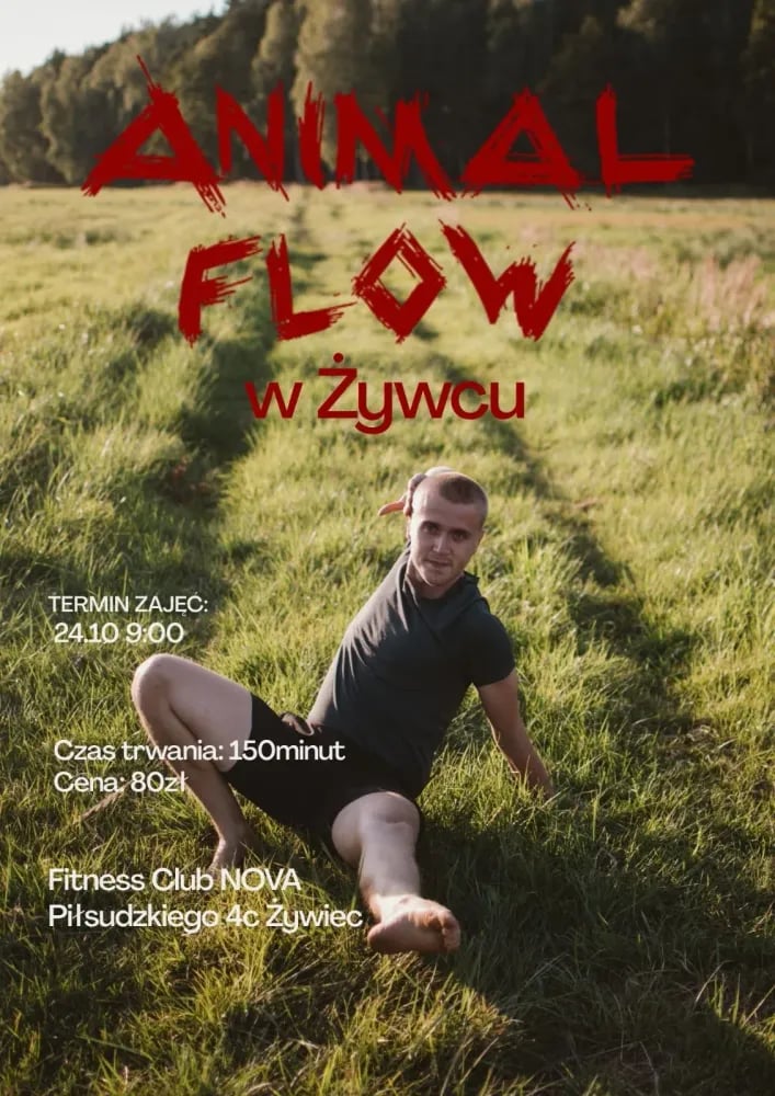 Flow Zabawa – warsztaty ruchowe w Żywcu