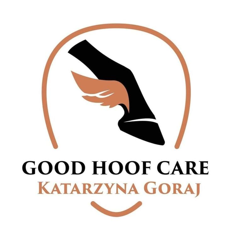 Warsztaty pielęgnacji kopyt z Katarzyną Goraj w Stajni Bachmat