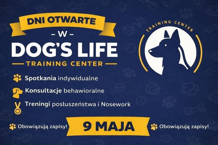 Dzień Otwarty w Dog's Life Training Center z darmowymi konsultacjami i treningami – 9 maja