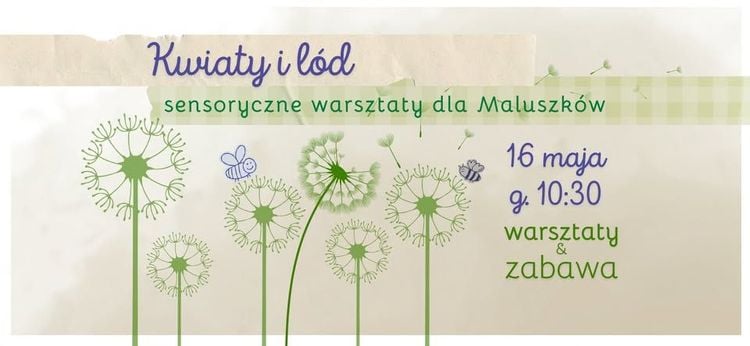Sensoryczne warsztaty "Kwiaty i lód" dla maluszków w Żywcu