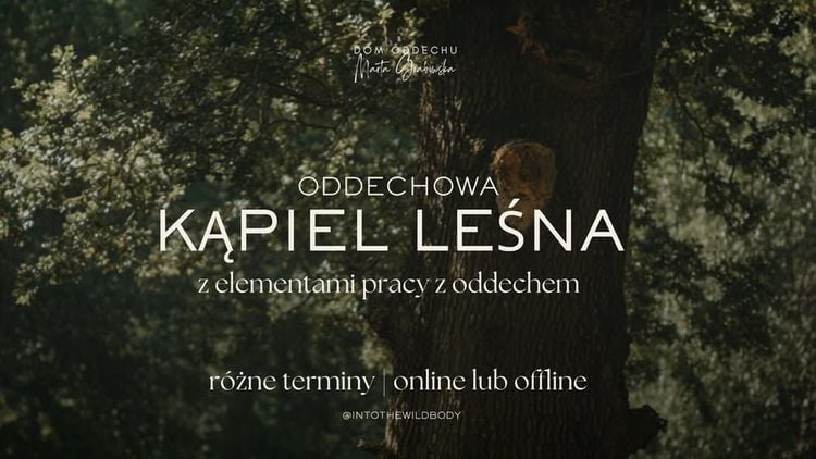 Oddechowa Kąpiel Leśna – sesja w lesie i online