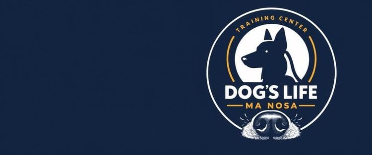 Darmowy trening noseworku dla psów w Czechowicach-Dziedzicach – 31 maja