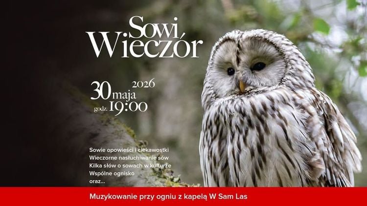 Sowi wieczór z muzyką i opowieściami w Międzybrodziu Bialskim