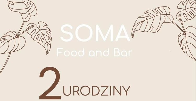 Letni koncert Julii Mreńcy w Porąbce