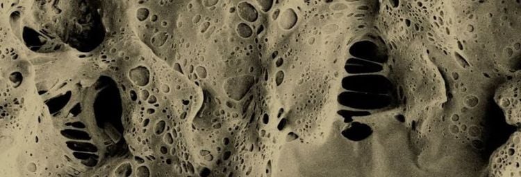 XXIV Konferencja Biomateriały i Mechanika w Stomatologii w Ustroniu