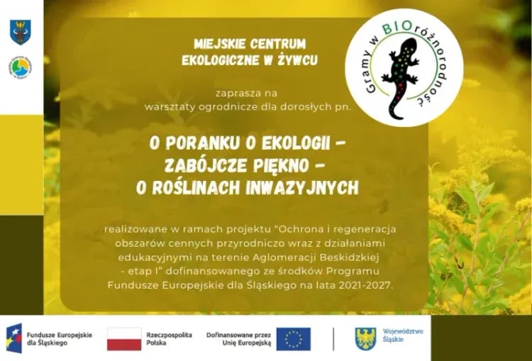 Warsztaty tworzenia kompozycji kwiatowych w szkle w Żywcu