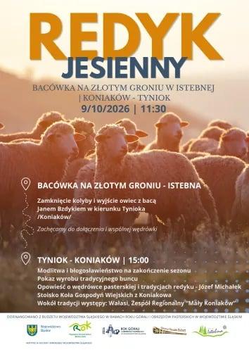 Redyk Jesienny