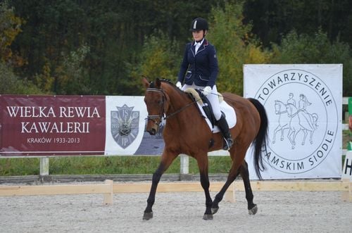 TopoCup 2026 w Toporzysku: zawody ujeżdżeniowe dla pasjonatów