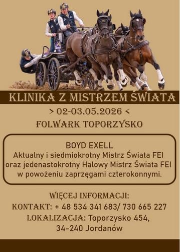 Klinika powożenia z Boyd Exell w Toporzysku