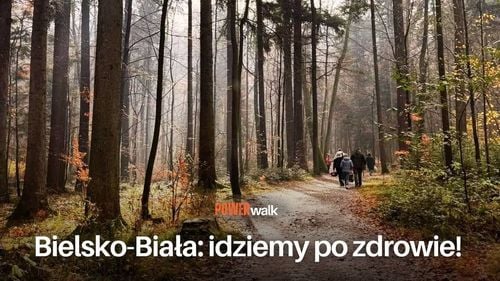 Power Walk: Zdrowy spacer w Bielsku-Białej