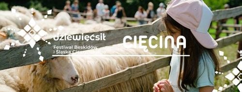Dziewięćsił Festiwal 2026 w Cięcinie – warsztaty, gry i koncerty