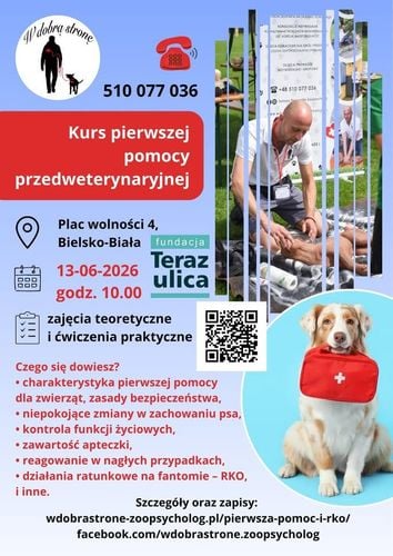 Kurs Pierwszej Pomocy i RKO dla psów w Bielsku-Białej