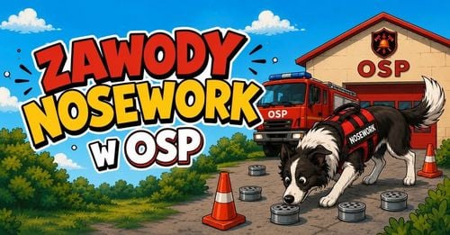 Freestylowe zawody psów w Kisielowie z misją zapachową