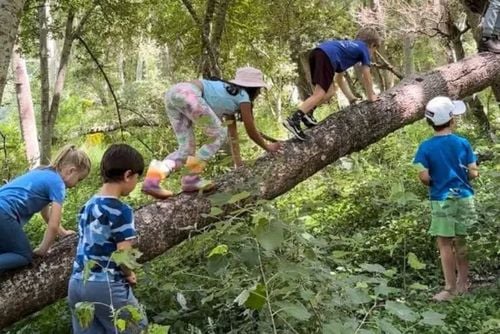 Piknik Rodzinny Ziarna Mocy w Cięcinie – zabawa i warsztaty na świeżym powietrzu