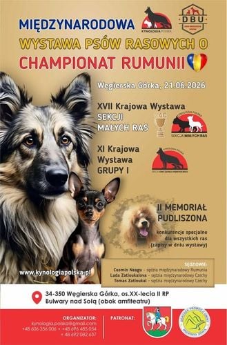 Międzynarodowa Wystawa Psów Rasowych i Konkursy Kynologiczne w Węgierskiej Górce