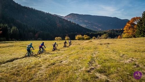 Babski comber e- MTB