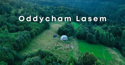 Trzydniowe Odosobnienie w Lesie w Jeleśni – Oddycham Lasem 2026