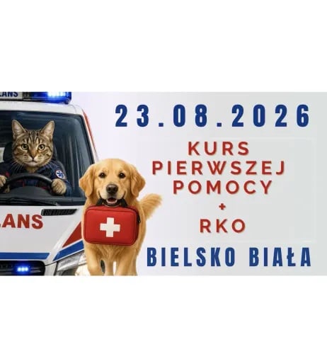 Kurs pierwszej pomocy przedweterynaryjnej dla psów w Bielsku-Białej