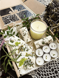 Warsztat: Botaniczny Box Sojowy