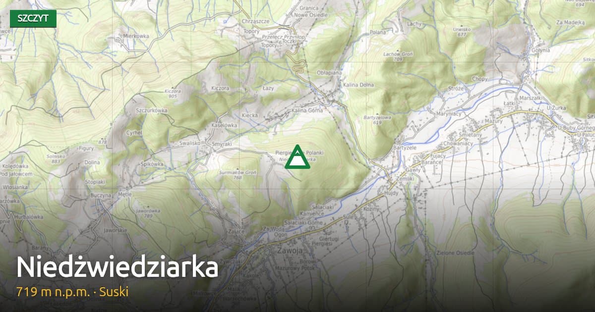 Niedżwiedziarka