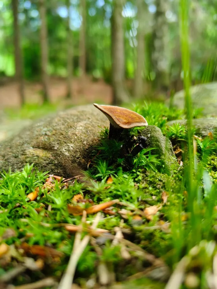 🌿 Oddech i relaksacja w górskiej przestrzeni