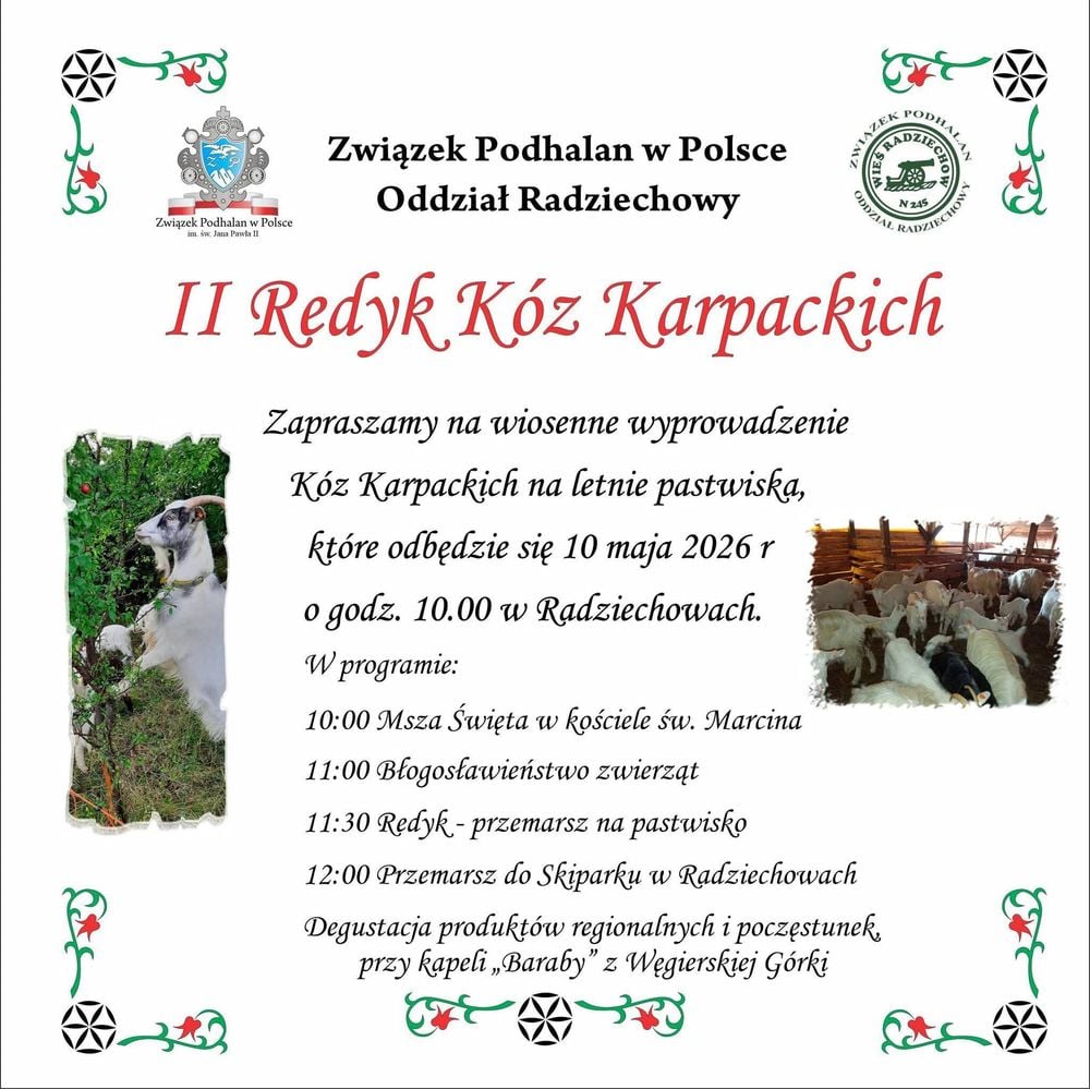 🐐 II Redyk Kóz Karpackich - wiosenne wyprowadzenie kóz