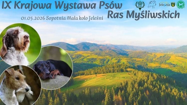 IX Krajowa Wystawa Psów Ras Myśliwskich, Sopotnia Mała k/Jeleśni