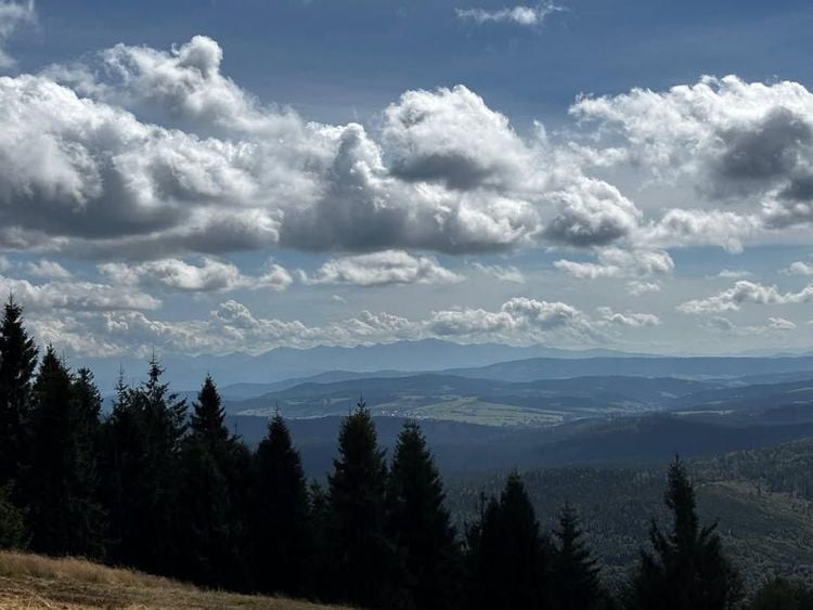 Charytatywnie dla Kazika - Klasyk Rysiankowy