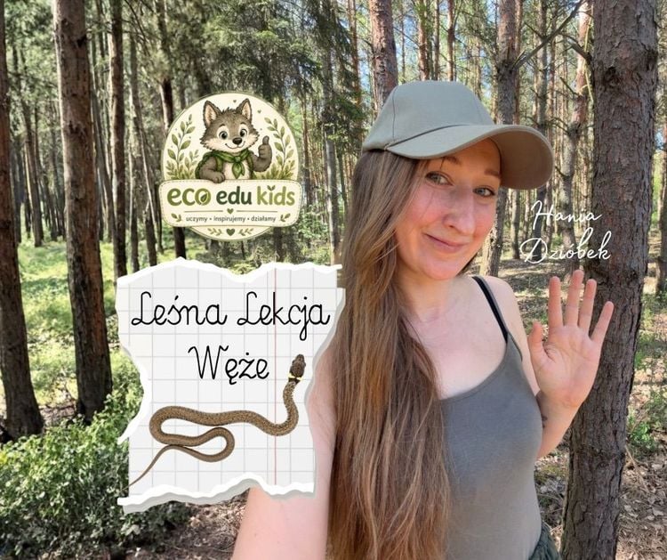 Leśna przygoda z wężami - warsztaty dla dzieci w Leśnej