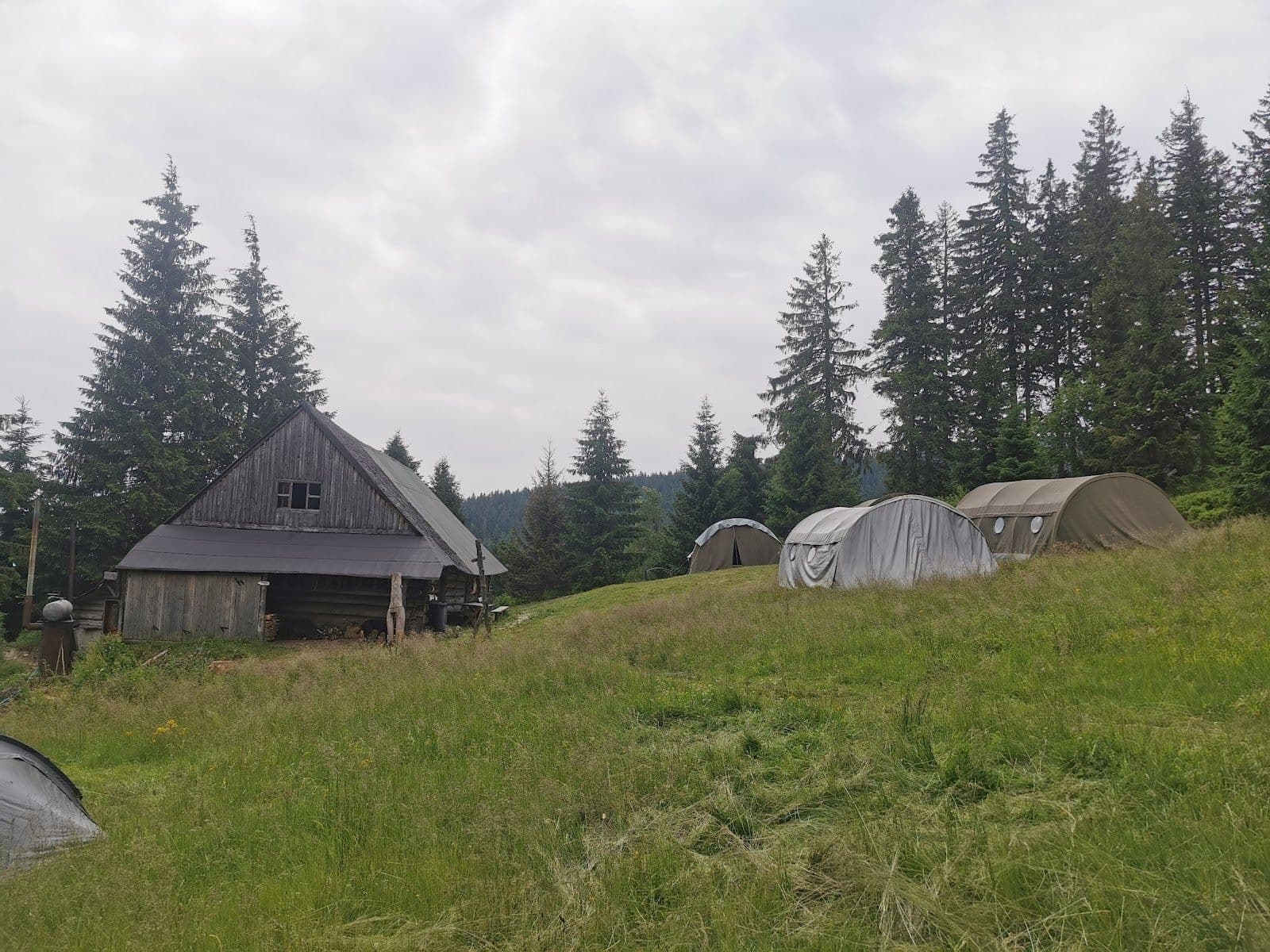 Hala Górowa