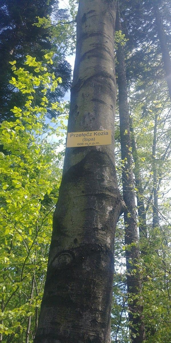 Przełęcz Kozia