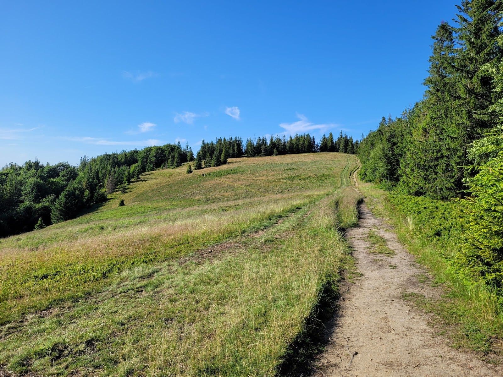 Hala Kamińskiego