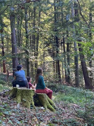 Wyprawa do Serca Lasu – 4-dniowy warsztat w naturze