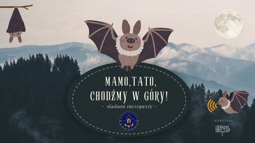 Rodzinna wędrówka śladami nietoperzy w Beskidzie Węgierskim