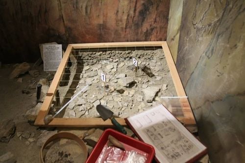 Rodzinne warsztaty archeologiczne w Muzeum Historycznym w Bielsku-Białej