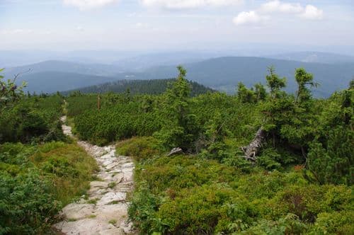 Mała Babia Góra / Malá Babia hora