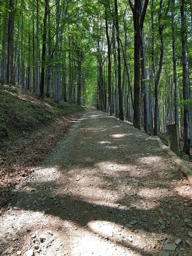 Rezerwat przyrody Czantoria