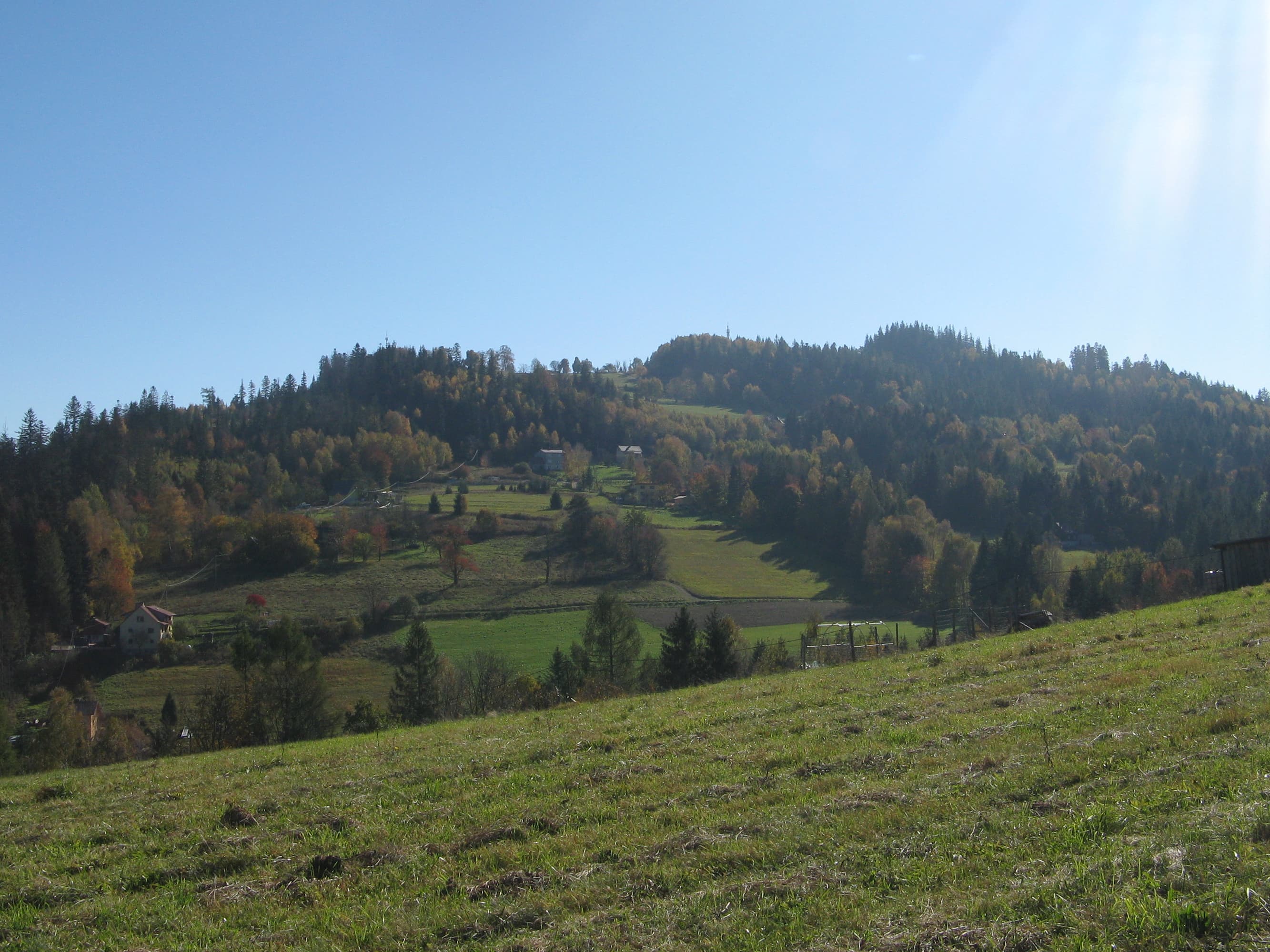 Kozińce
