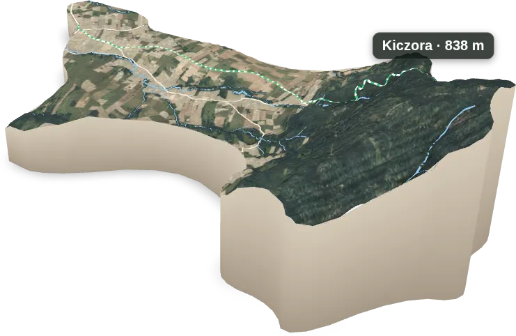 Makieta 3D: Brzuśnik