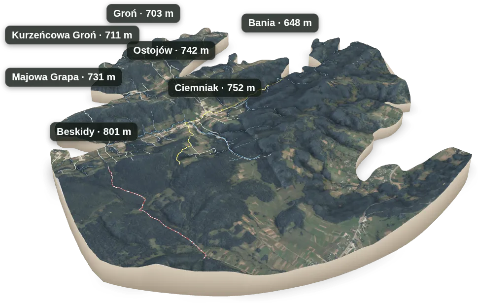 Wyspa 3D — Kurzeńcowa Groń