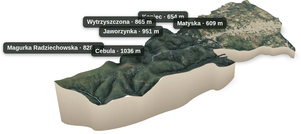 Makieta 3D: Radziechowy