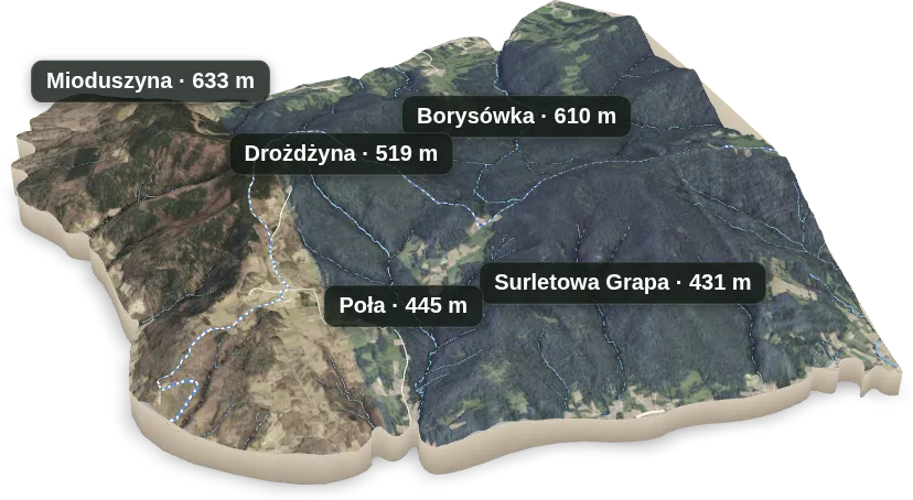 Wyspa 3D — Surletowa Grapa